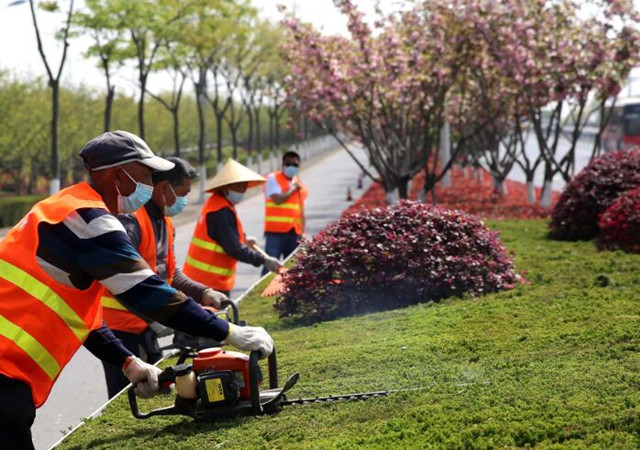 園林養護服務